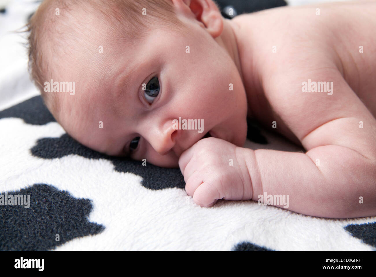 newborn Stock Photo