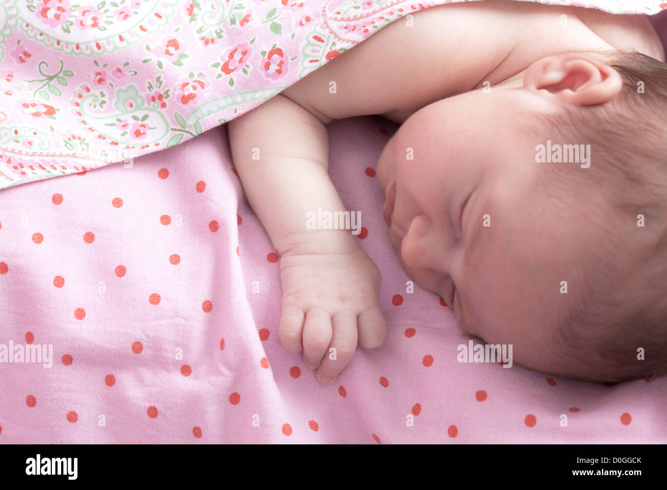 newborn Stock Photo