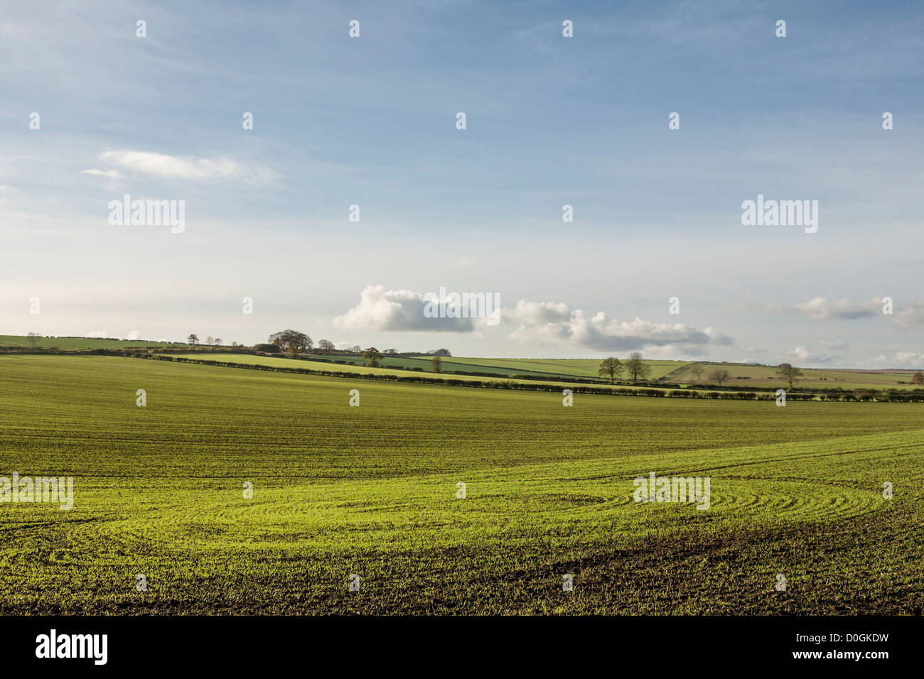 Patterns in newly sown crops made by the Autumn sun, East Yorkshire, England Stock Photo