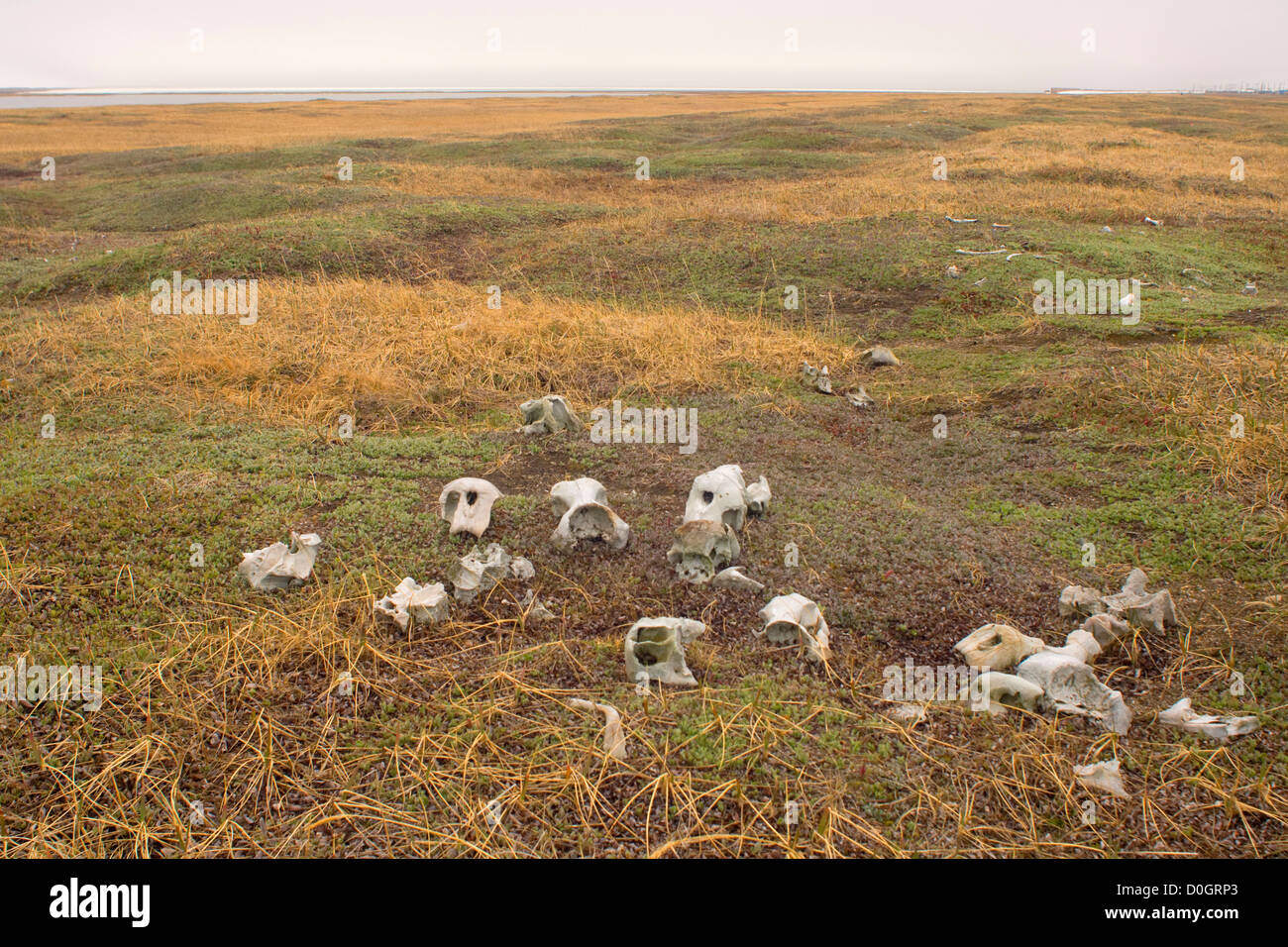 Hope alaska village hires stock photography and images Alamy