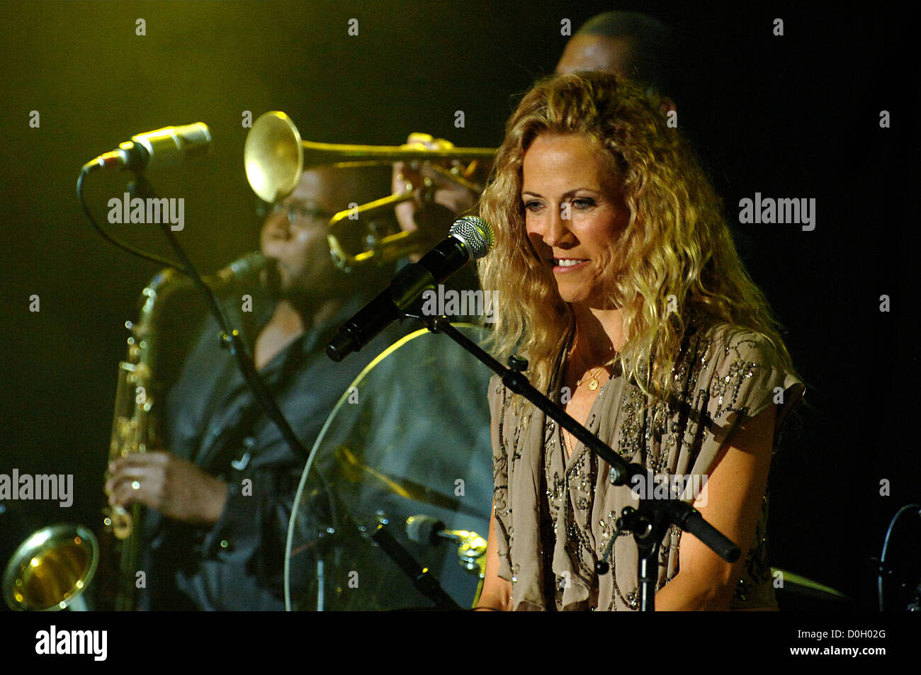 Sheryl Crow performs in support of her '100 Miles from Memphis' album ...