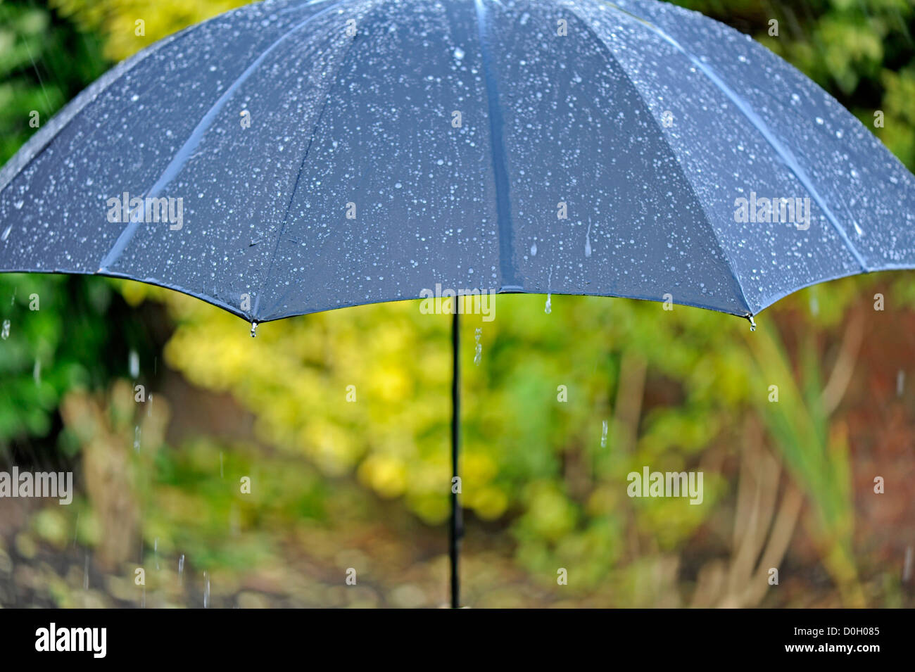 Close-up of an umbrella in the rain Stock Photo