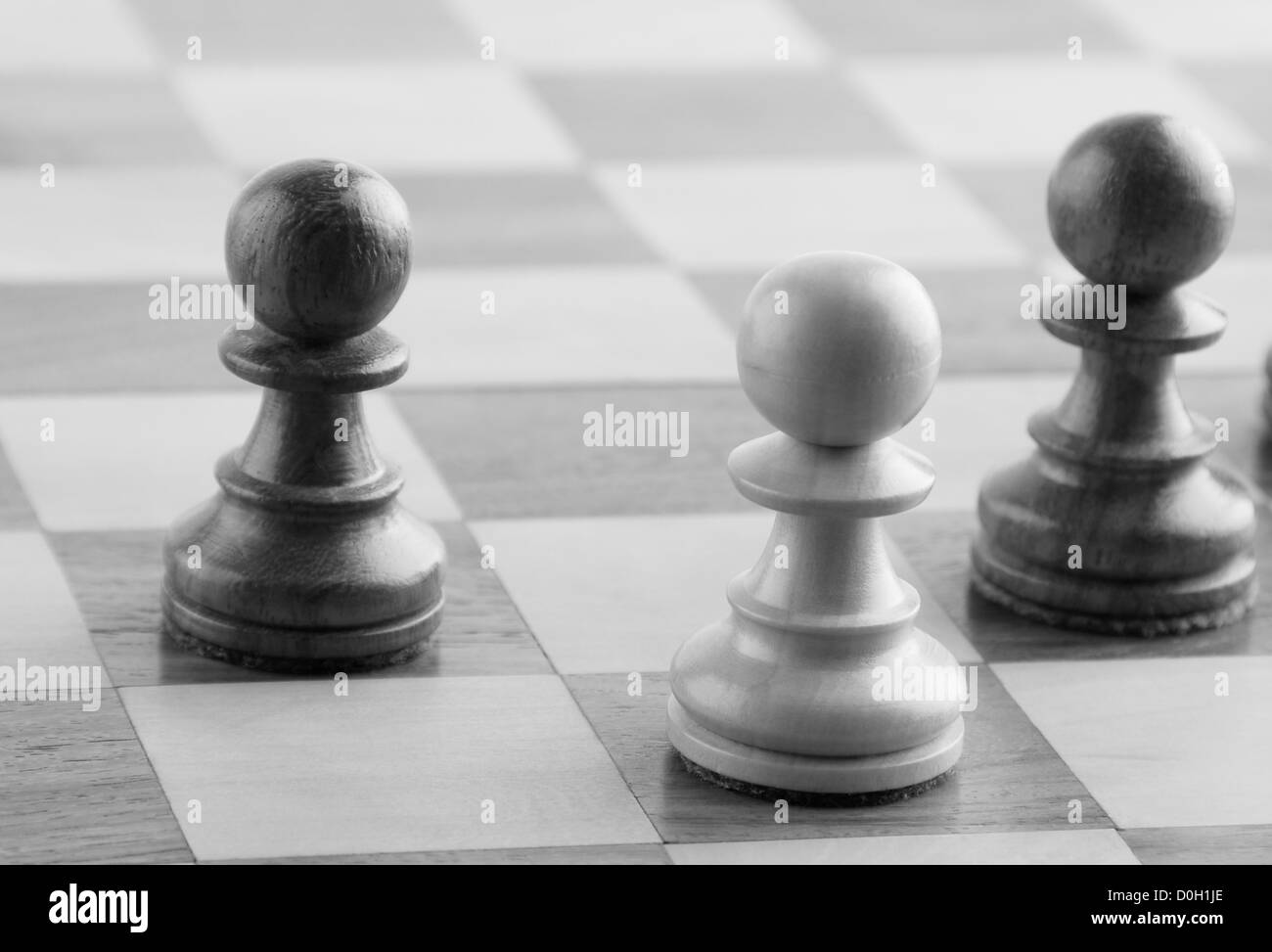White chess pawn near two black chess pawns on a chess board Stock Photo