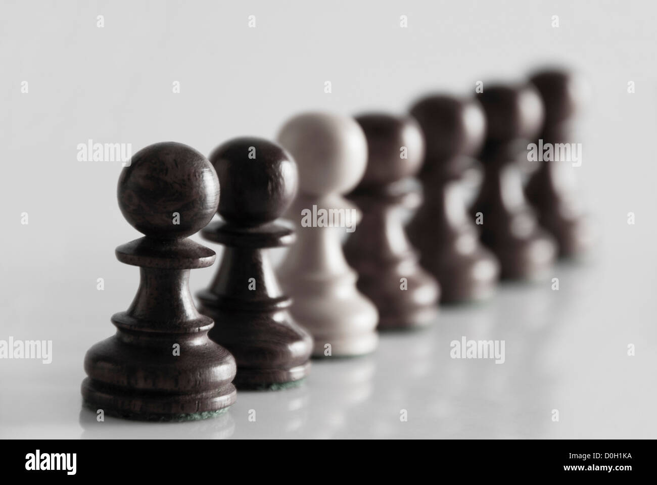 Chess pawns in a row Stock Photo