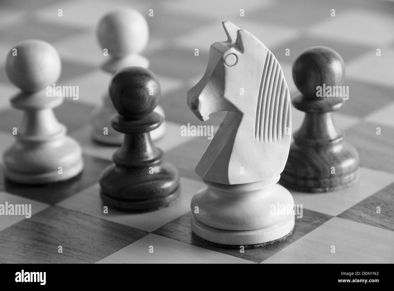 Knight with chess pawns on a chess board Stock Photo Alamy