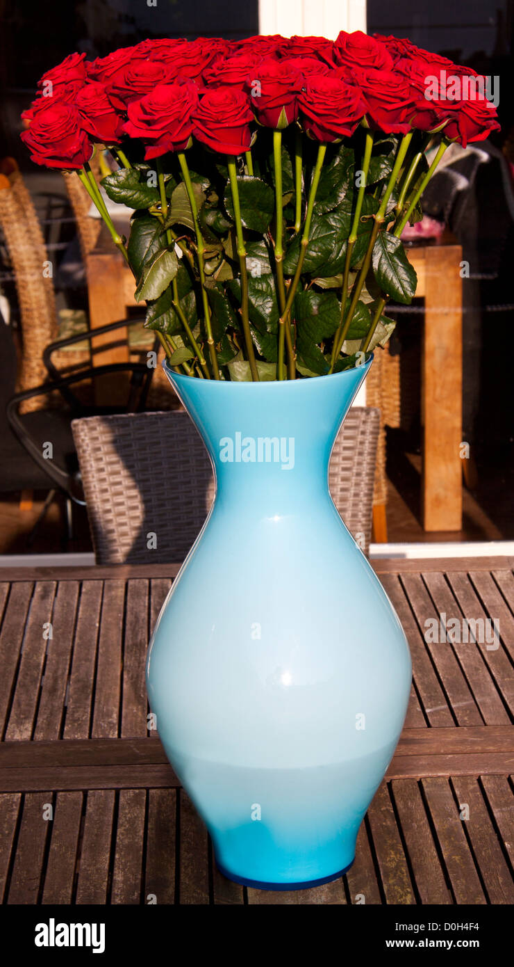 zirbeldr se glandula pinealis anatomie und funktion