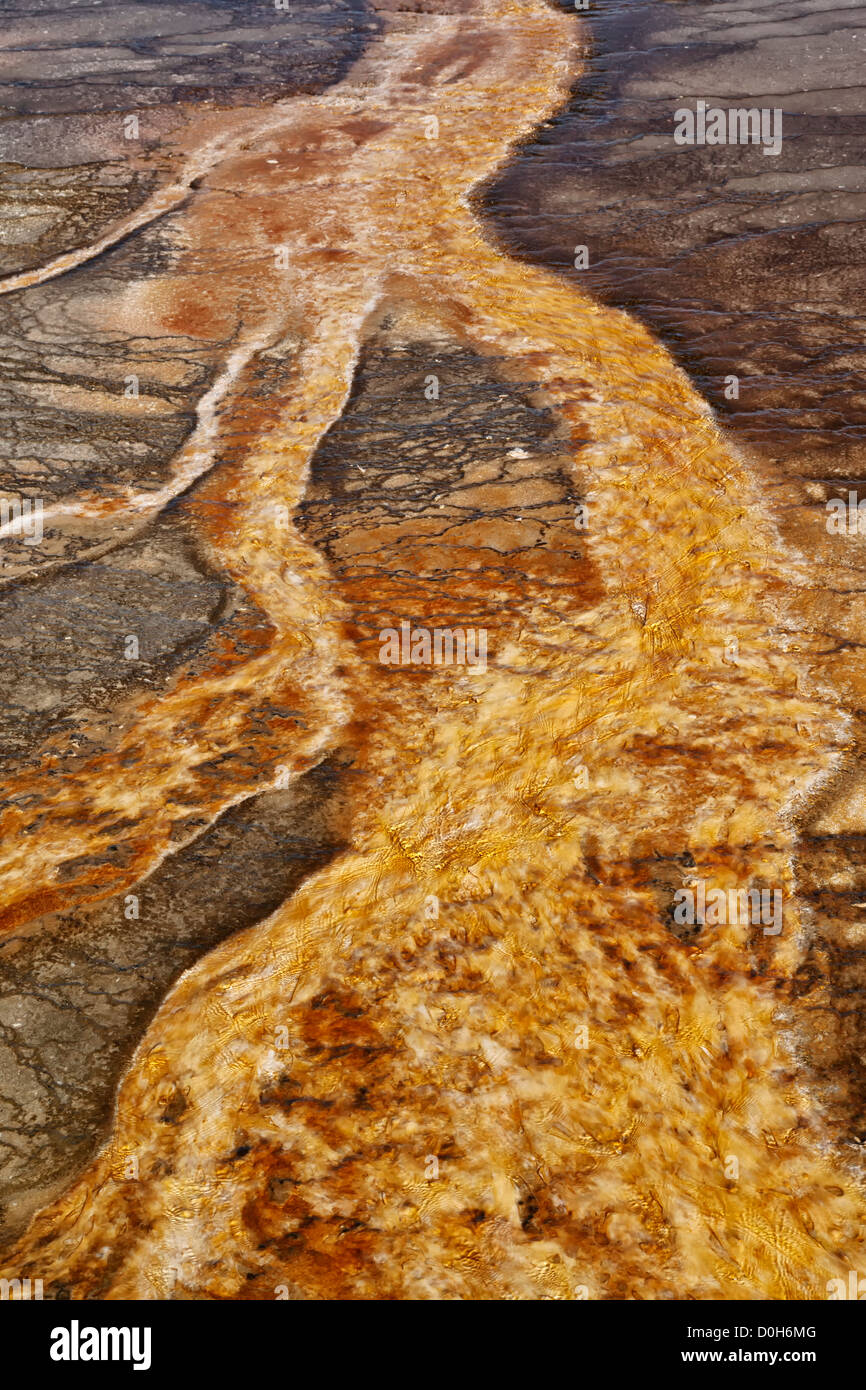 Bacterial mat - Midway geyser Basin Stock Photo
