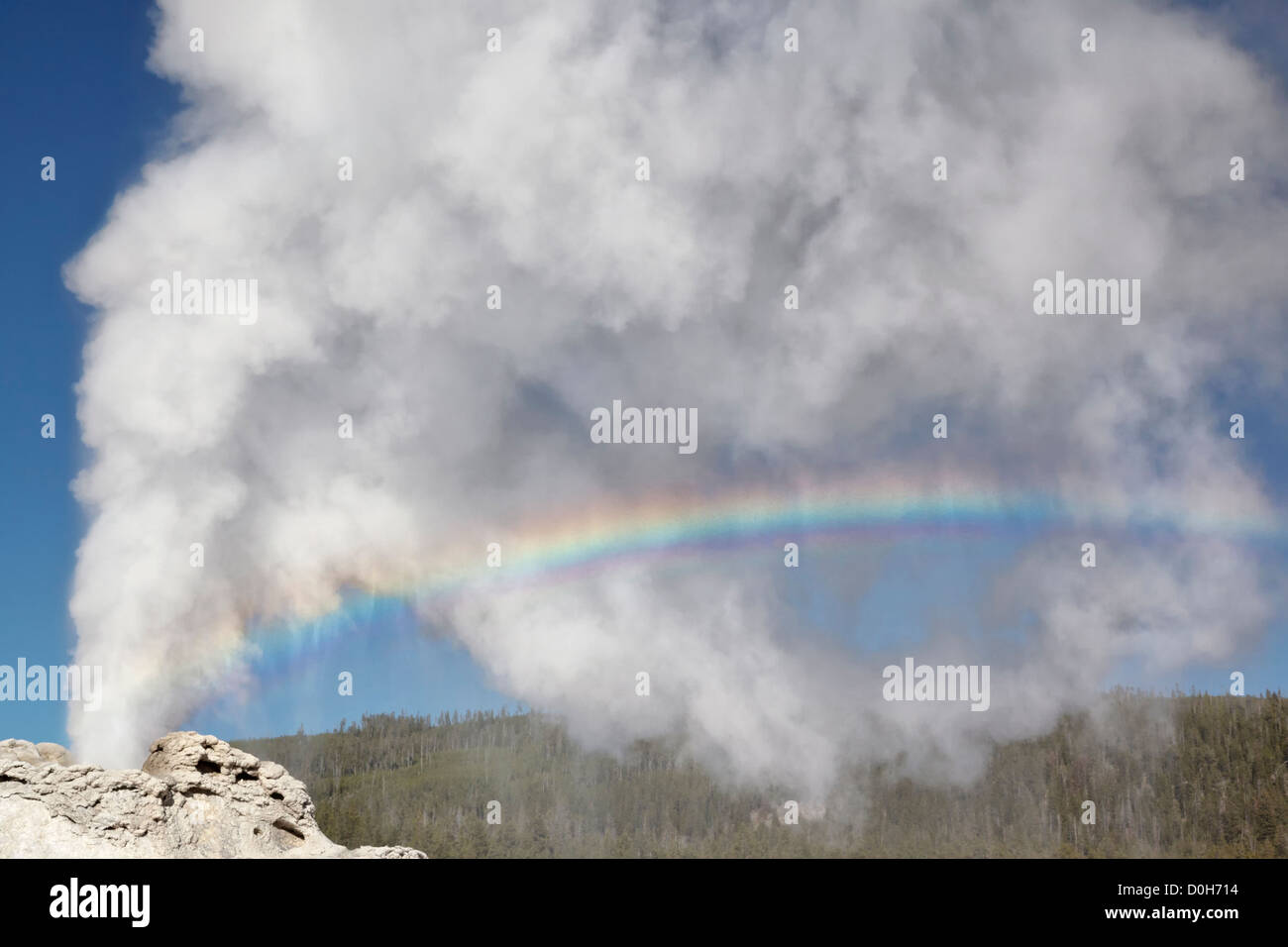 Castle geyser erupting and spray rainbow - Upper geyser Basin - Yellowstone NP Stock Photo