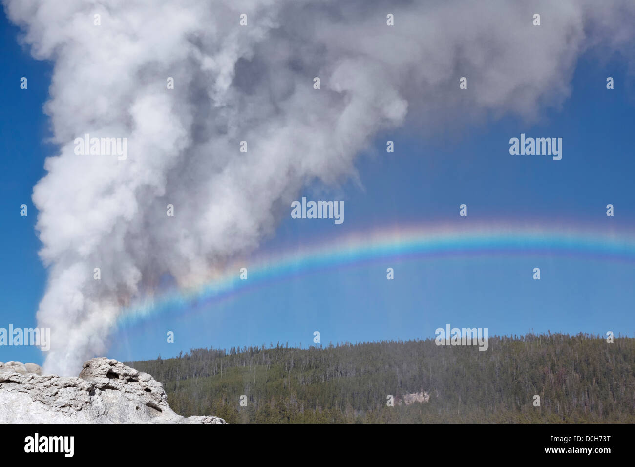Castle geyser erupting and spray rainbow - Upper geyser Basin - Yellowstone NP Stock Photo
