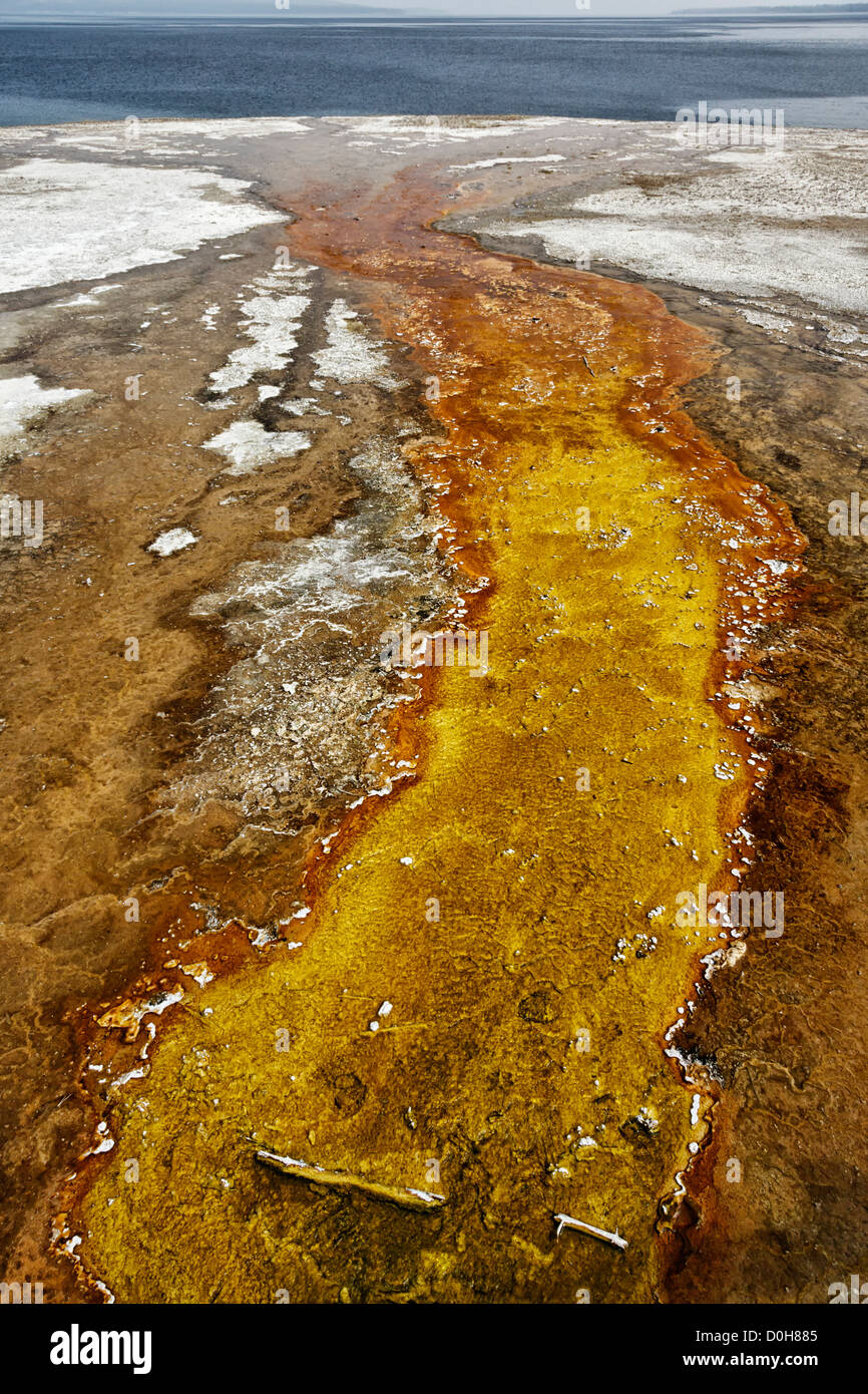Thermal outflow running in to Lake Yellowstone at West Thumb geyser basin Stock Photo