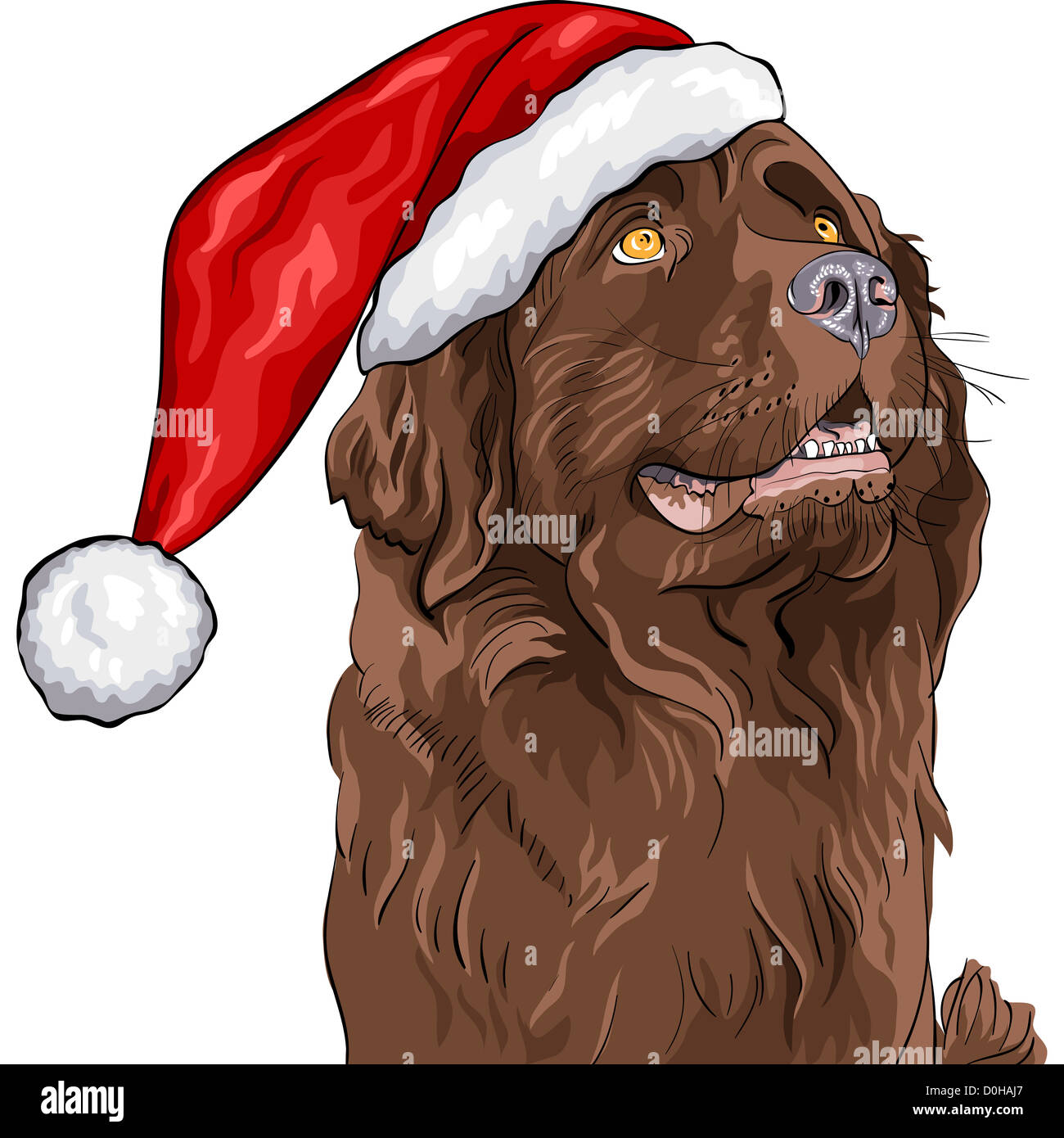 closeup portrait of a dog Newfoundland in a Christmas hat of Santa Claus Stock Photo