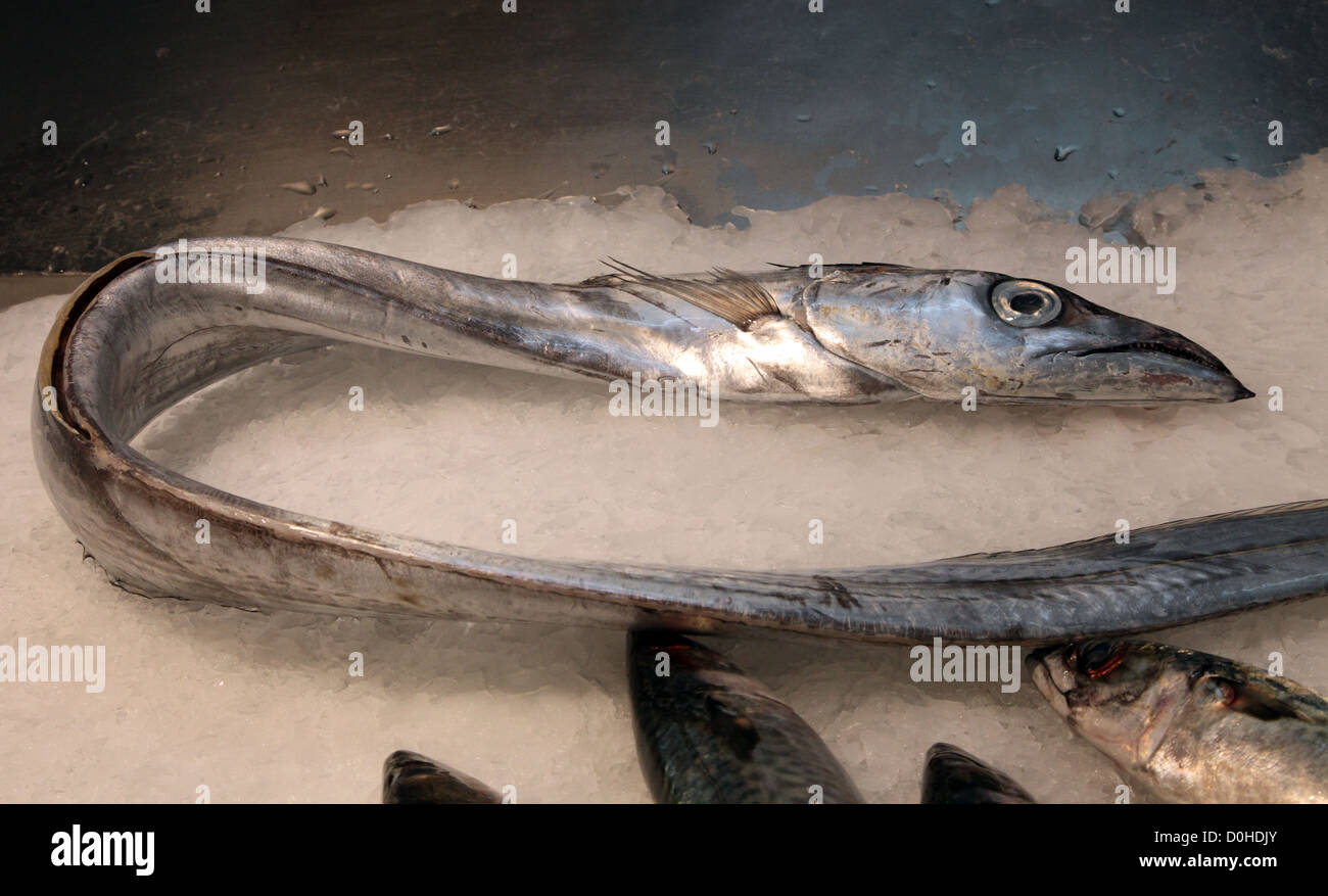 Espada, Portuguese Scabbard on sale in Lisbon fish market, Portugal Stock Photo