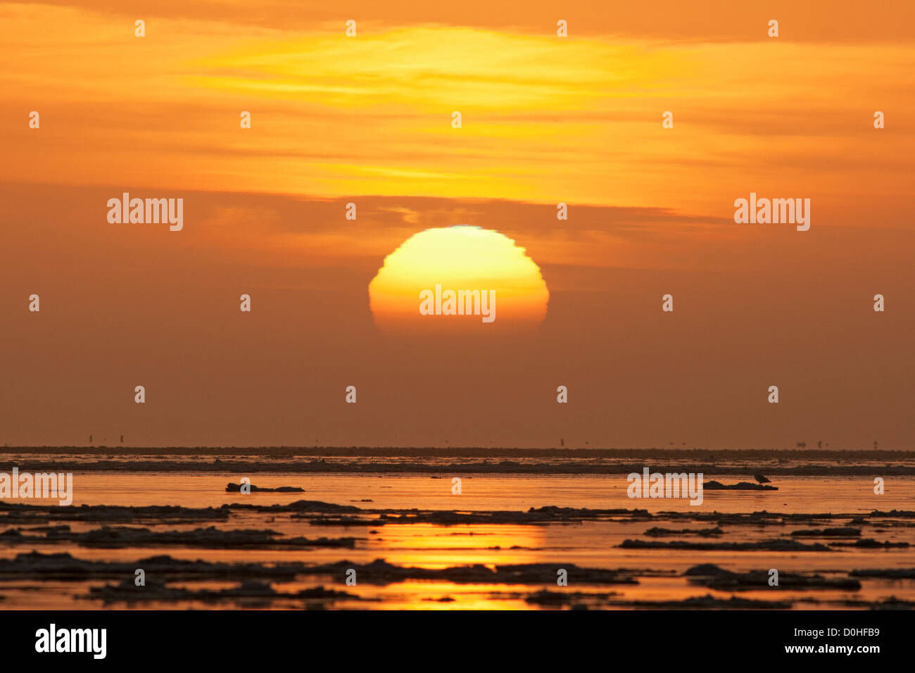 Rising sun year hi-res stock photography and images - Alamy