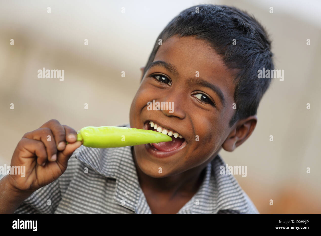 India capsicum annuum hi-res stock photography and images - Alamy