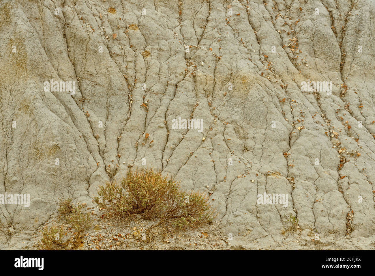 Bentonite bluffs with eroding mudstone layers, Theodore Roosevelt NP (South Unit), North Dakota, USA Stock Photo