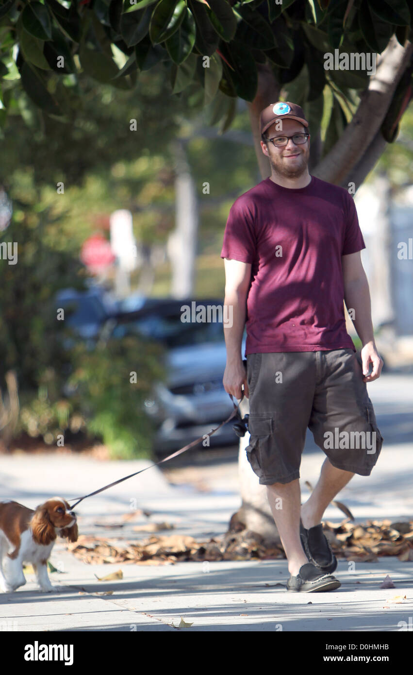 Seth Rogen takes his dog for a walk in West Hollywood Los Angeles, California - 18.09.10 Stock Photo