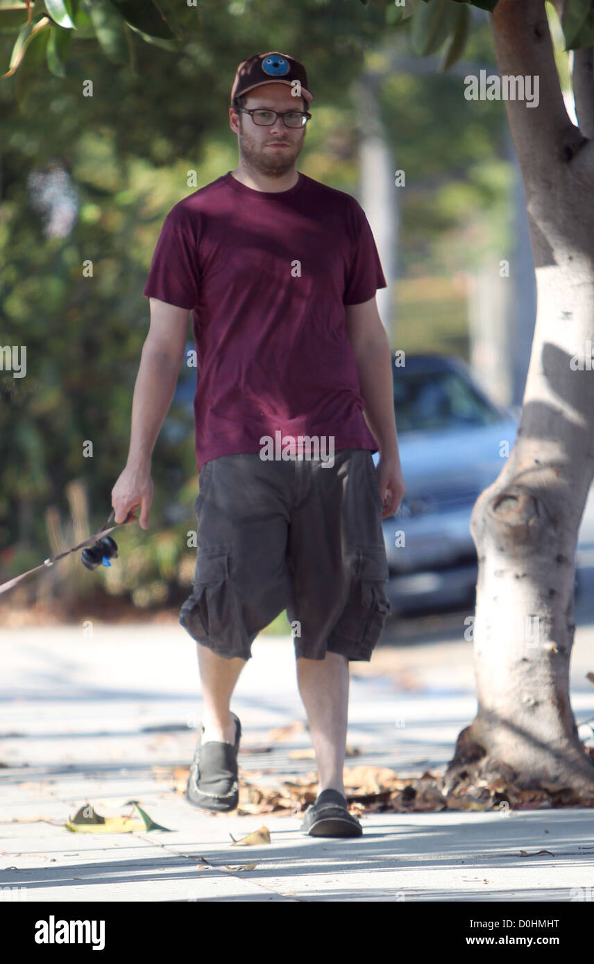 Seth Rogen takes his dog a walk in West Hollywood Los Angeles, California - 18.09.10 Stock Photo