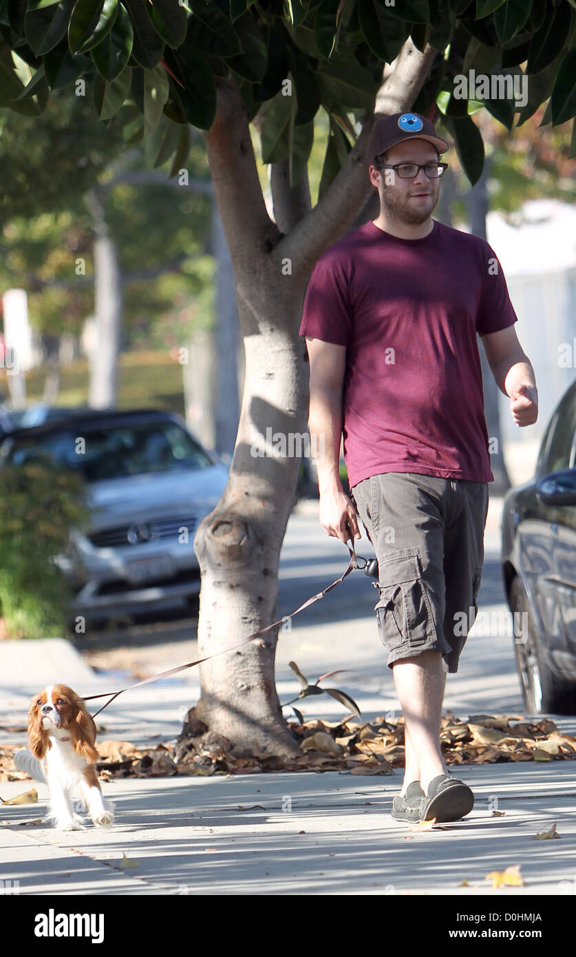 Seth Rogen takes his dog for a walk in West Hollywood Los Angeles, California - 18.09.10 Owen Beiny/ Stock Photo