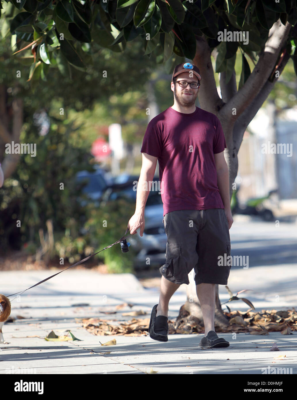 Seth Rogen takes his dog for a walk in West Hollywood Los Angeles, California - 18.09.10 Owen Beiny/ Stock Photo