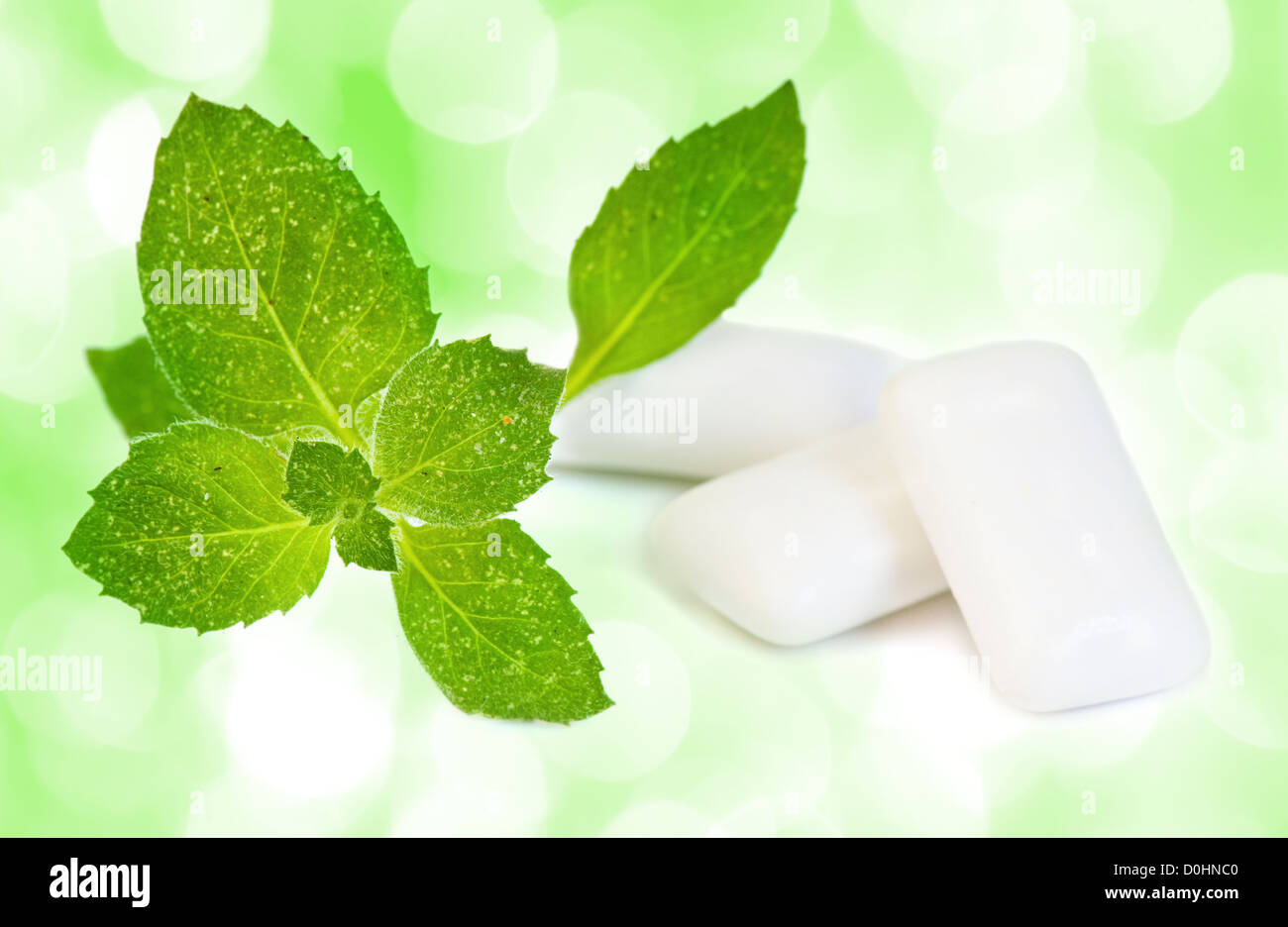 Chewing gym and fresh leaves of mint on a white background Stock Photo