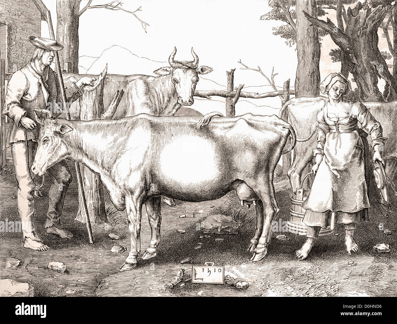 La Laitiere or The Milkmaid by Lucas van Leyden.  16th century farming scene. Stock Photo