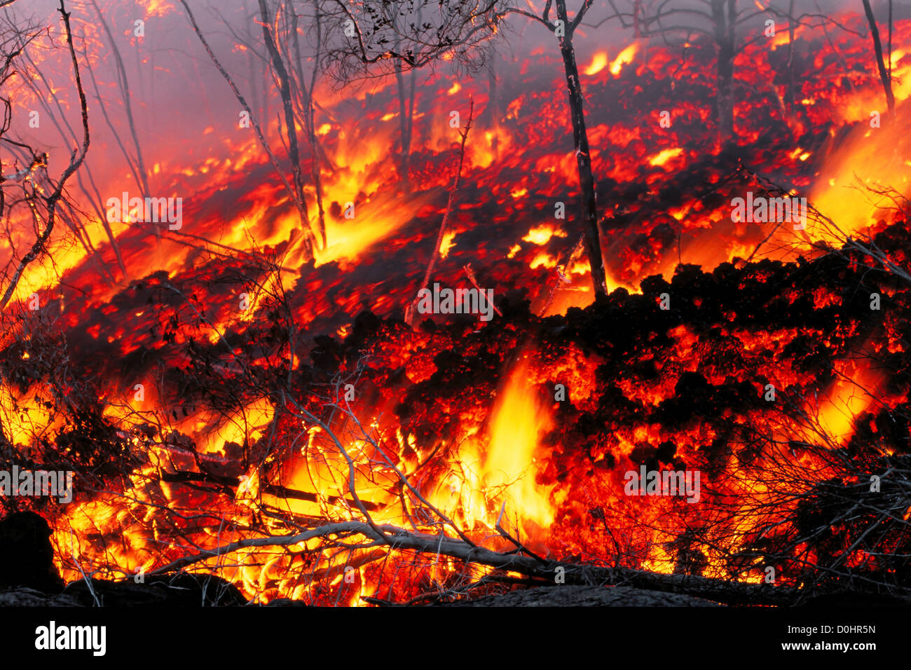 A'a Lava Burning Through a Forest Stock Photo Alamy