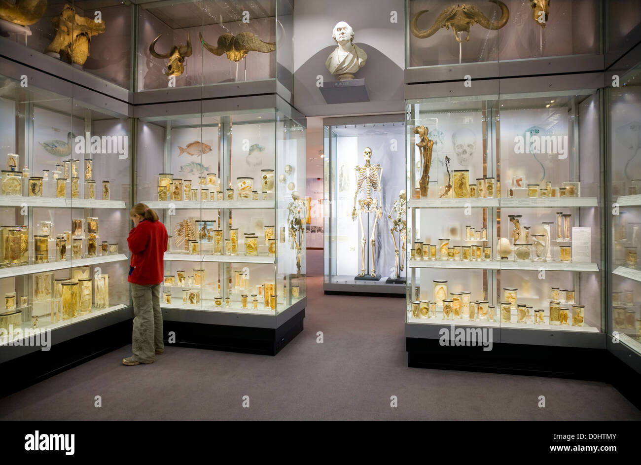 Crystal Gallery, Hunterian museum. The Royal College Surgeons, Lincoln's Inn, London. UK. Stock Photo