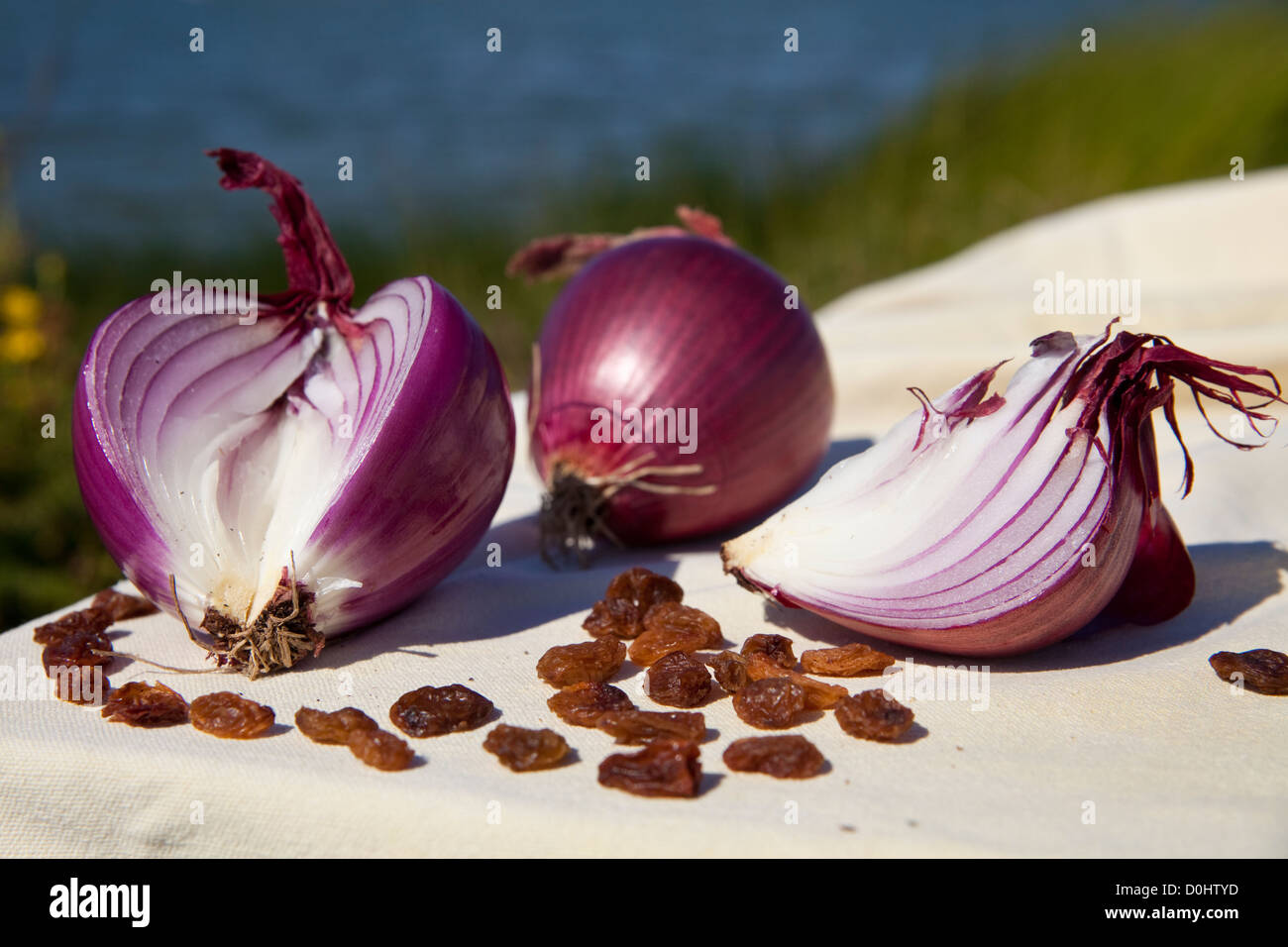 red onions (cipolle di tropea) and raisin on a white table cloth in a sunny day on the banks of Cabras' Lake Stock Photo