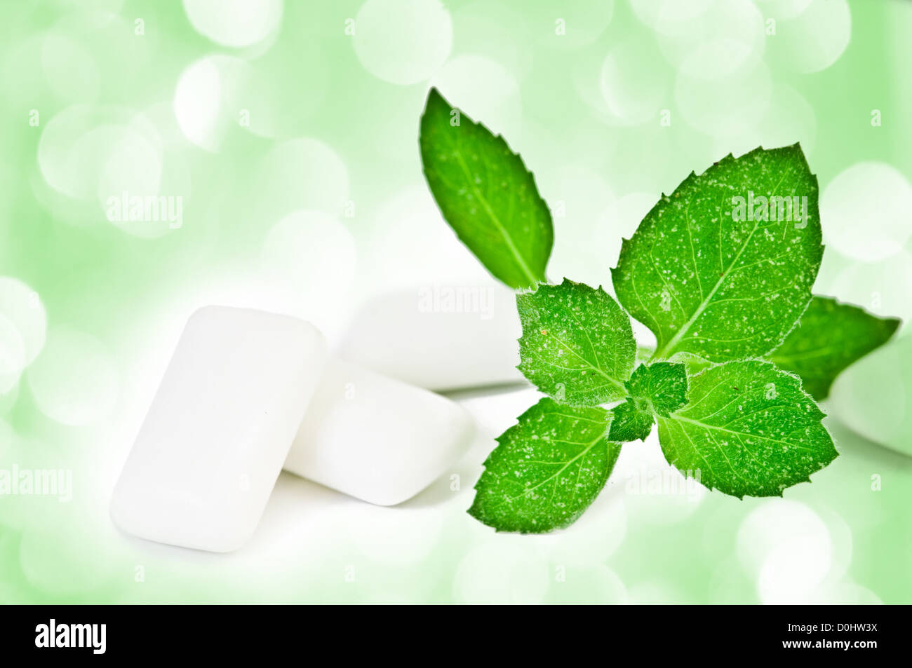 Chewing gym and fresh leaves of mint Stock Photo