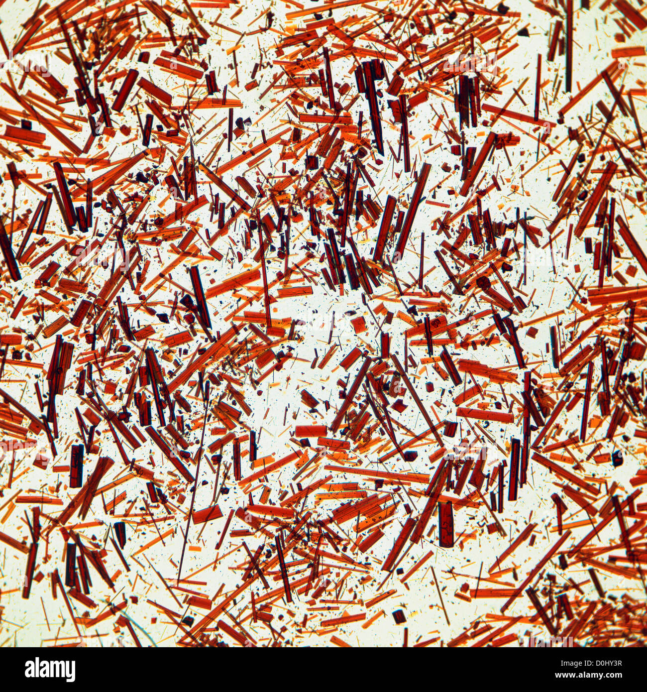 Yellow Pigment Crystals, Polarized Light, x80 Stock Photo Alamy