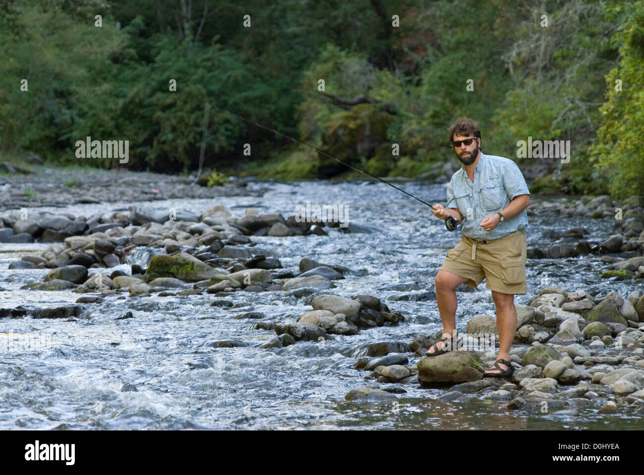 Fly fishing on the North Fork of the Umatilla River, Oregon Stock Photo
