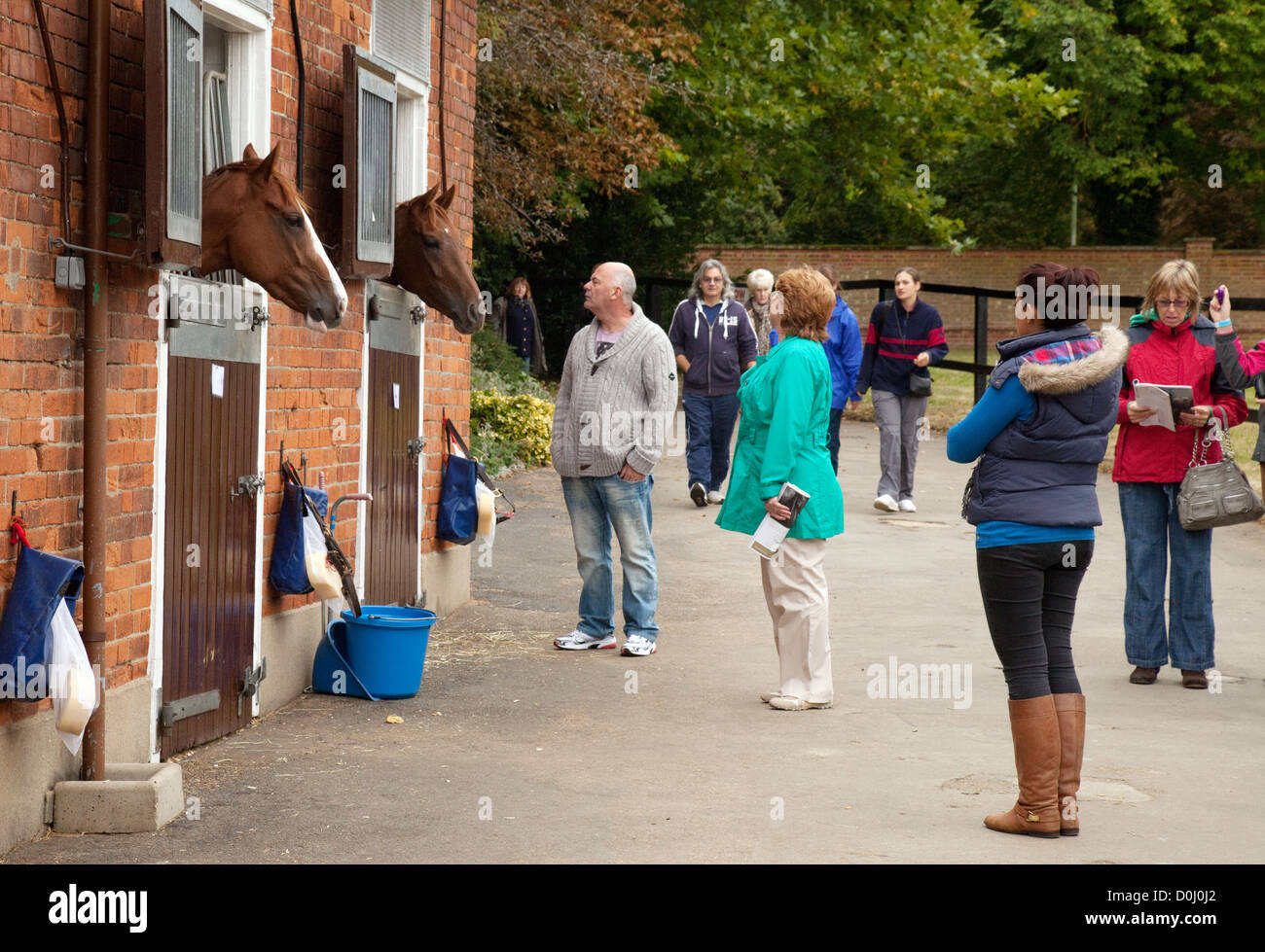 Racehorse Stables High Resolution Stock Photography and Images - Alamy