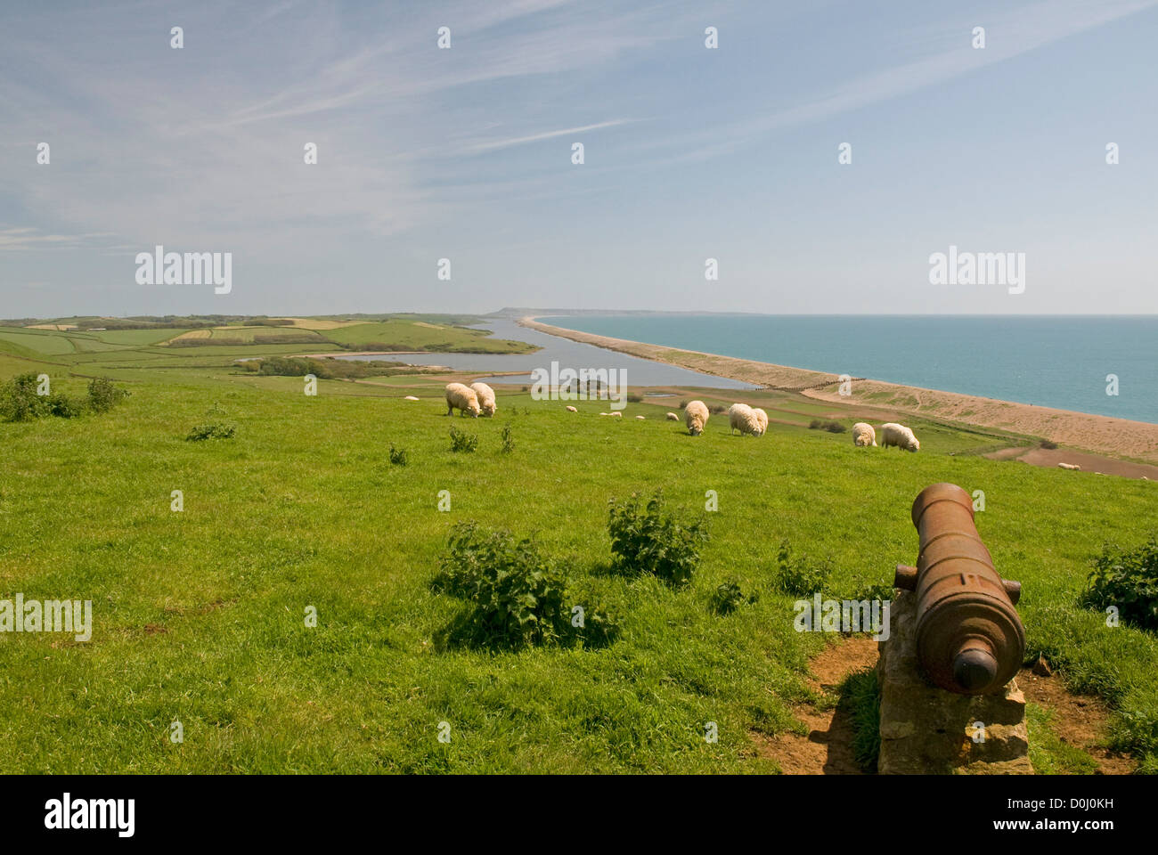 Close to the south west coast path near Abbotsbury, Dorset, looking