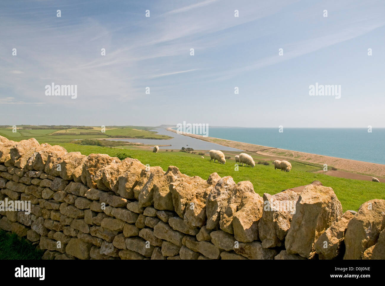 Close to the south west coast path near Abbotsbury, Dorset, looking