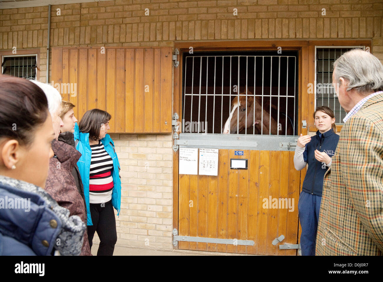 A vet showing people a sick horse, Newmarket Equine Hospital, Newmarket Suffolk UK Stock Photo