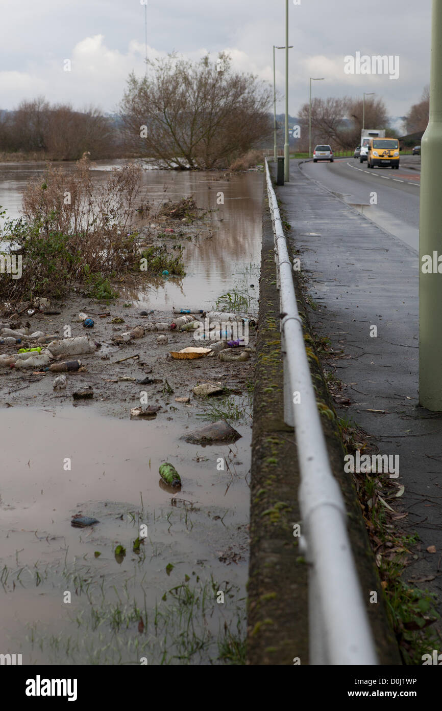 Tamworth tame hires stock photography and images Alamy