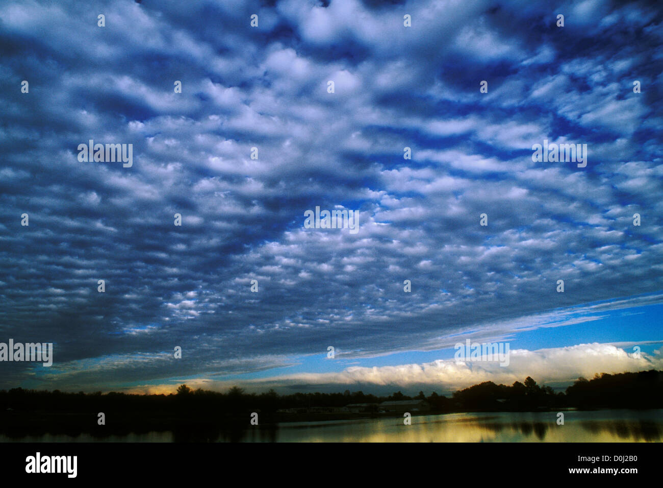 Altocumulus Undulatus Clouds Blanket the Sky Stock Photo