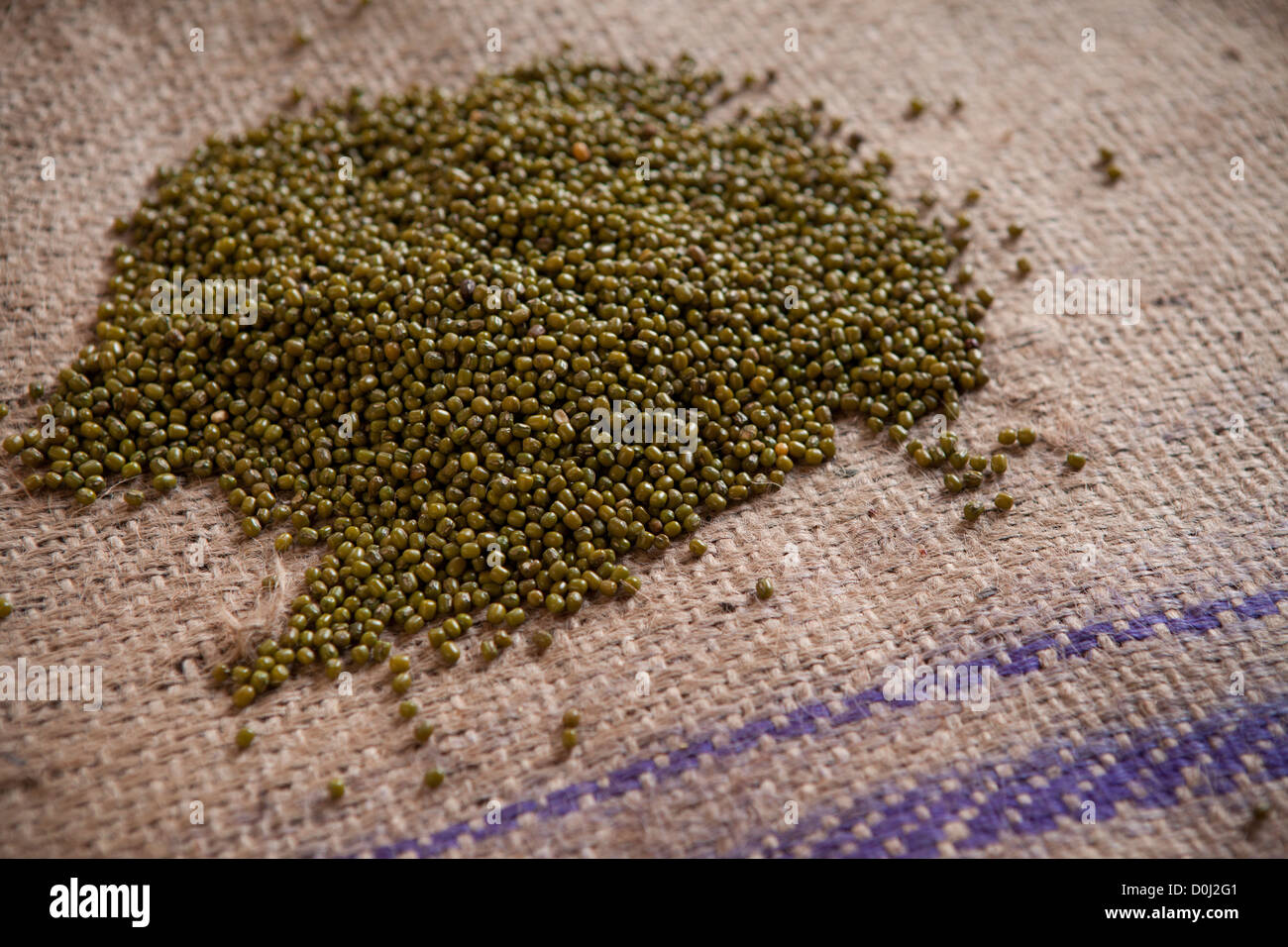Green gram (lentils or pulses) at a commodities warehouse in Dar es Salaam, Tanzania, East Africa. Stock Photo