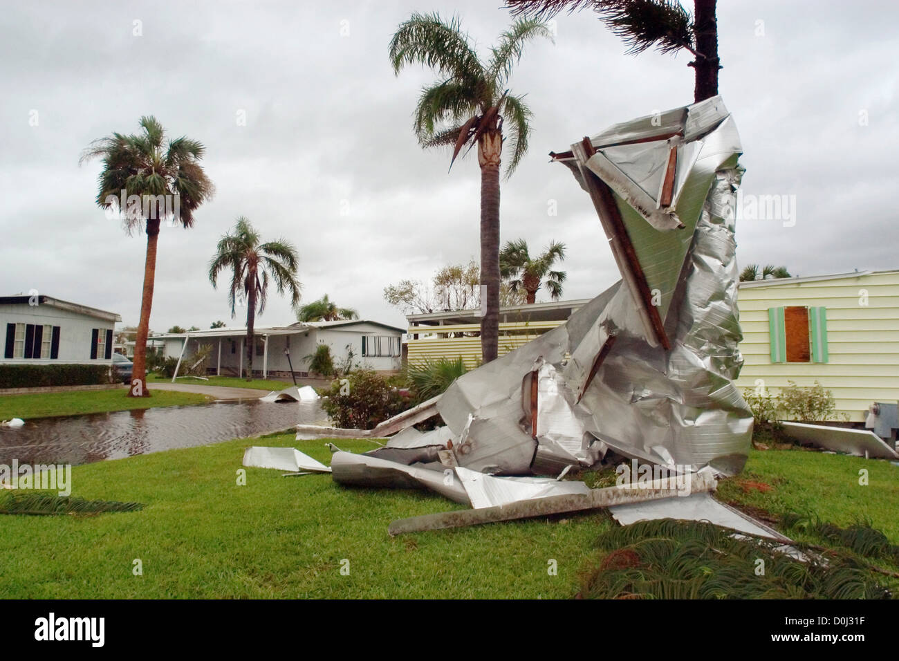 Hurricane Jeanne Twists a Mobile Home Roof Around a Palm Tree Stock Photo