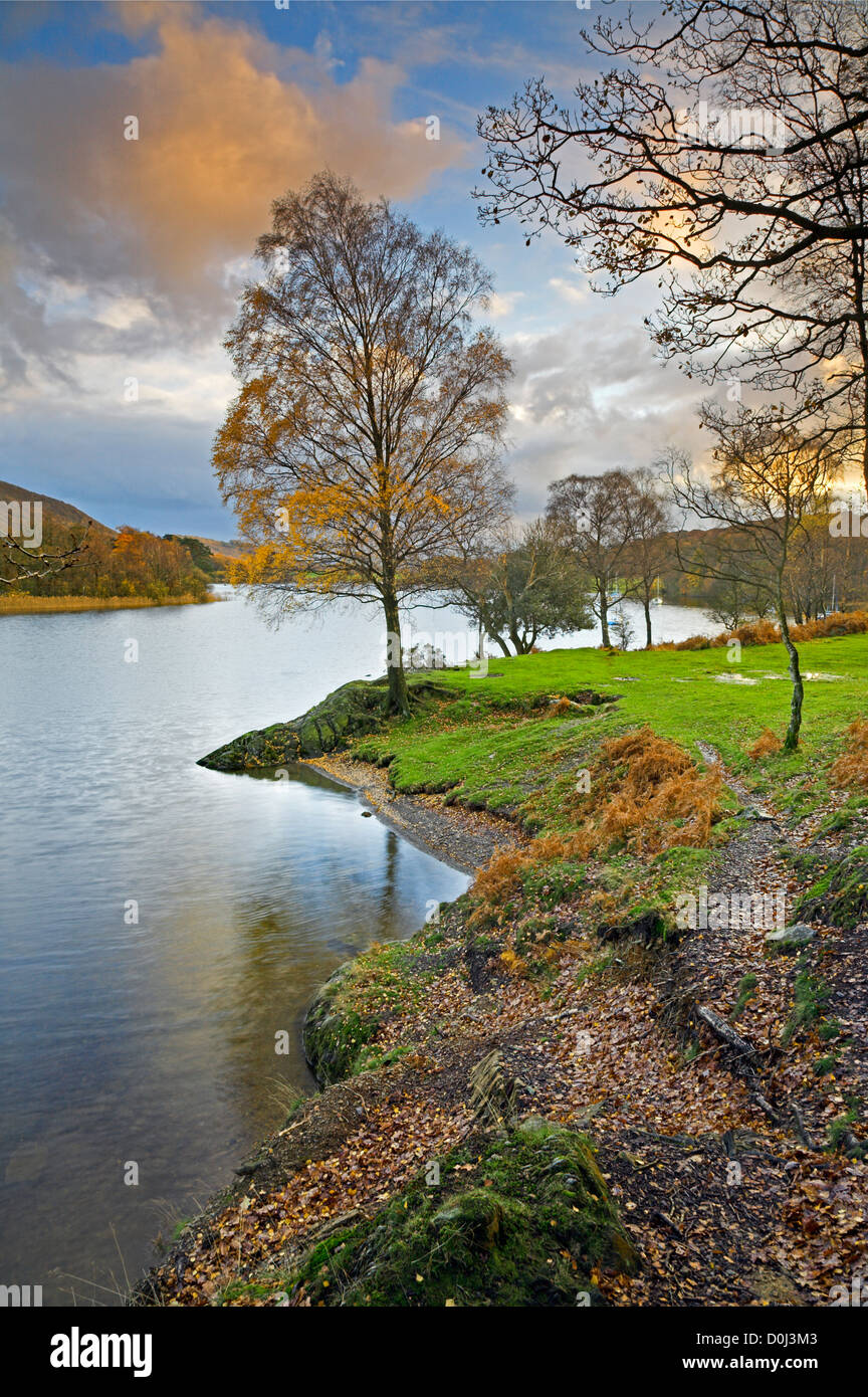 Autumn colours at the southern tip of Coniston Water. Stock Photo