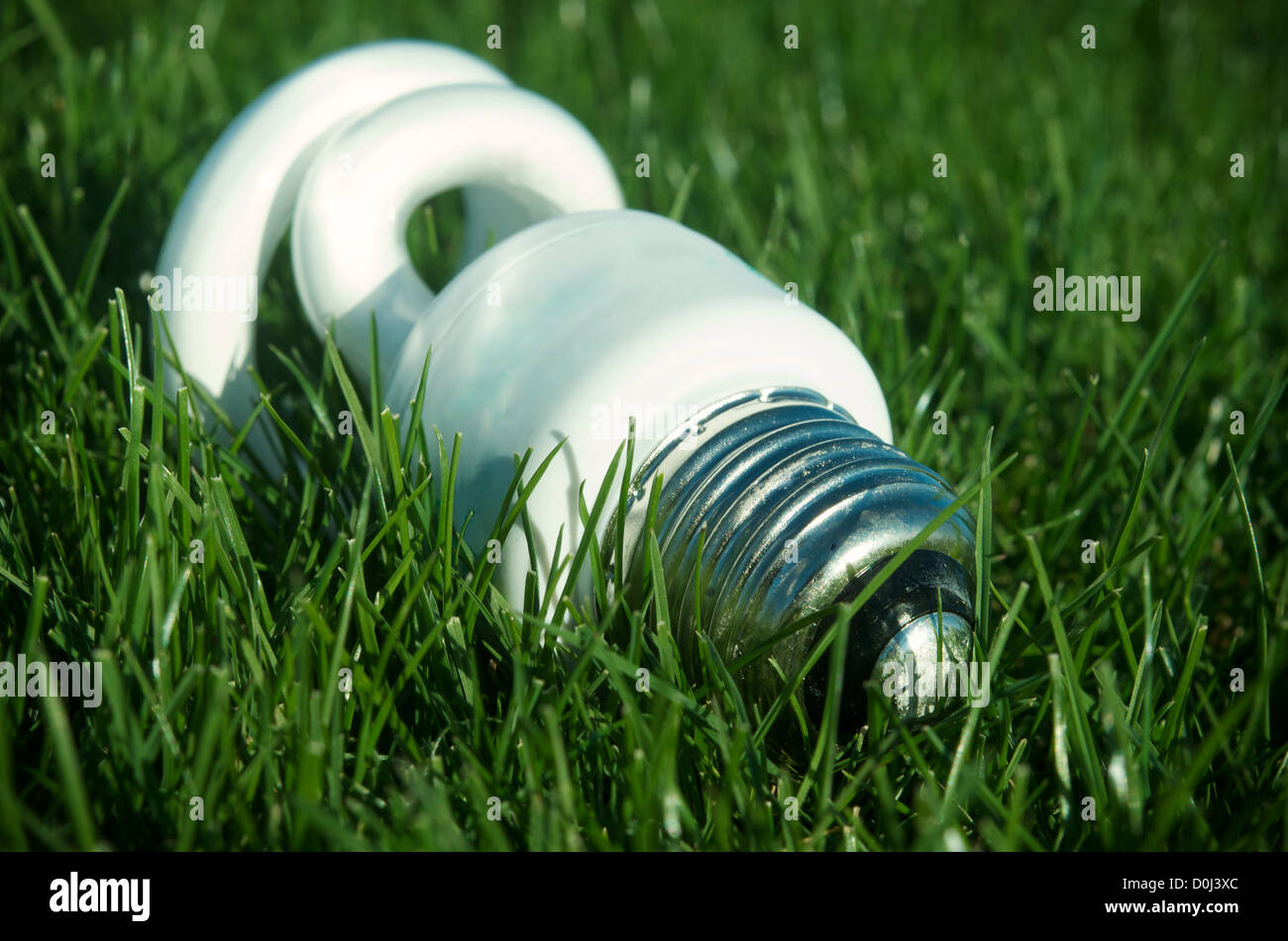 Energy efficient light bulbs on green grass Stock Photo - Alamy
