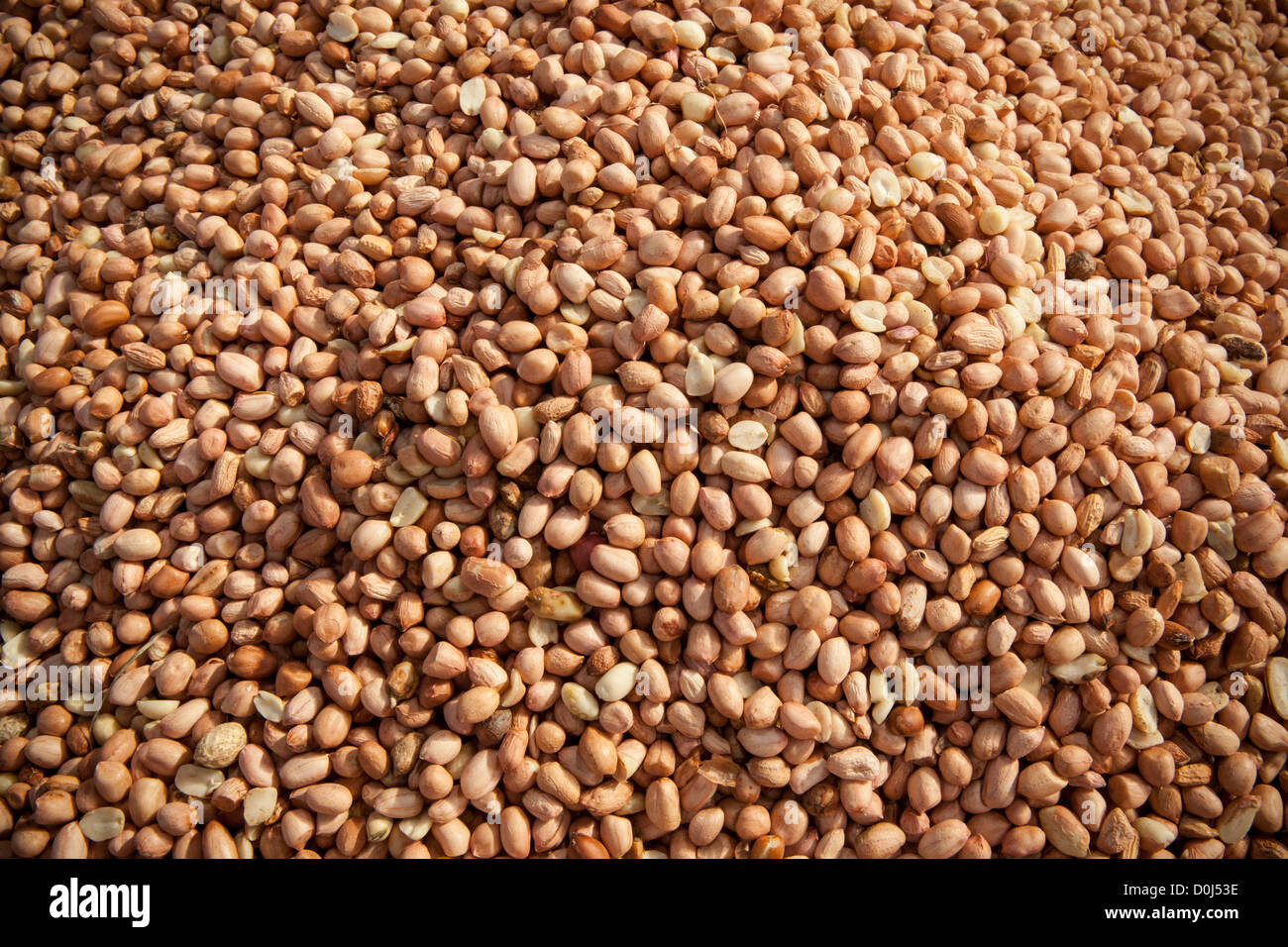 Peanuts are ready for packaging at a commodities warehouse in Dar es Salaam, Tanzania, East Africa. Stock Photo
