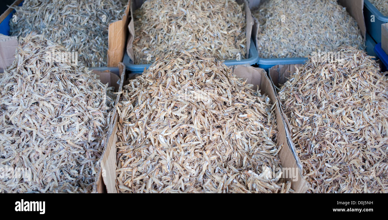 Dried fish in the market, Brunei Stock Photo
