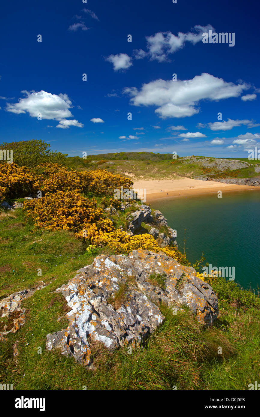 Barafundle Beach High Resolution Stock Photography and Images - Alamy