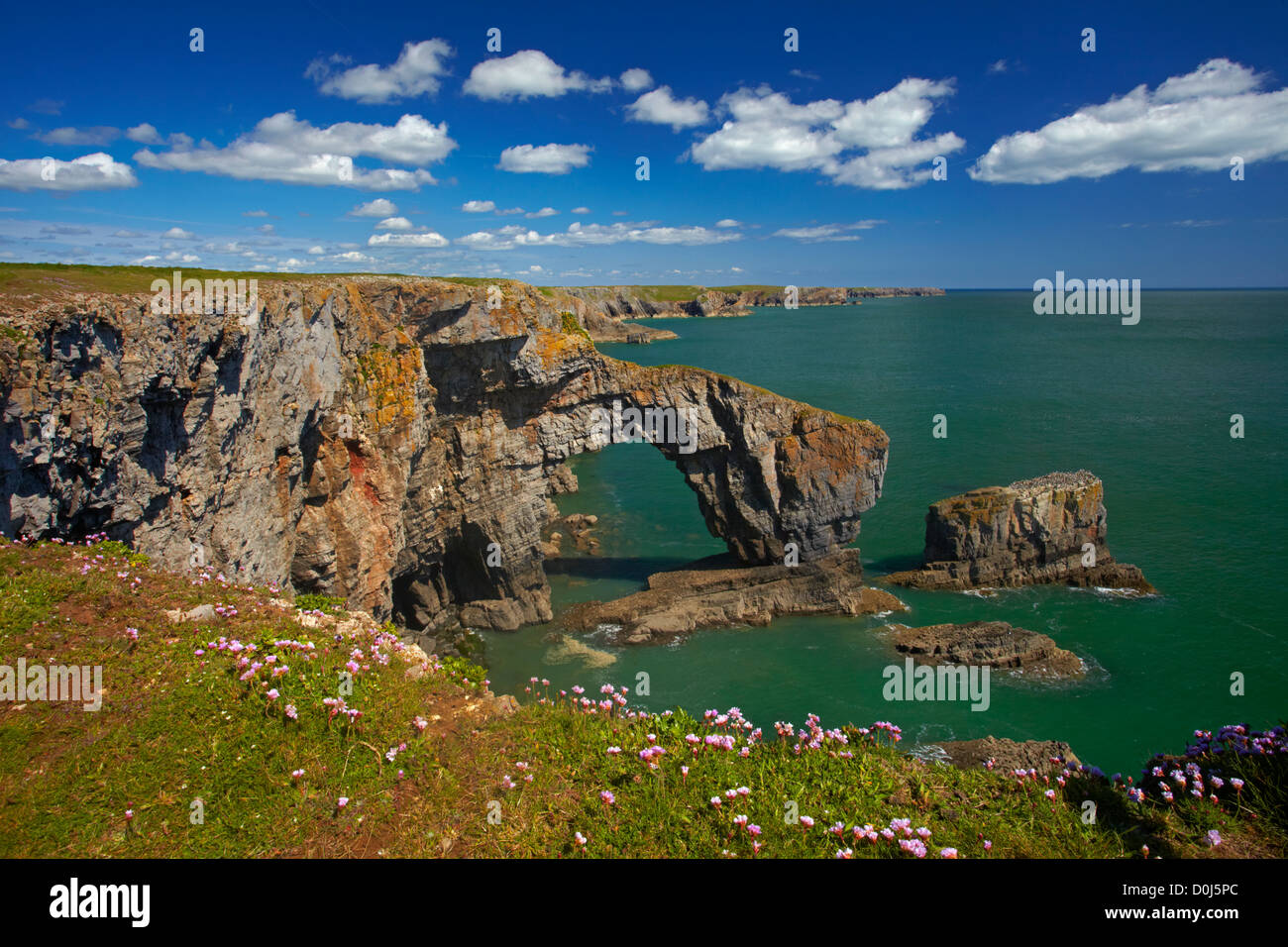 The Green Bridge of Wales on the Pembrokeshire coastal path. Stock Photo
