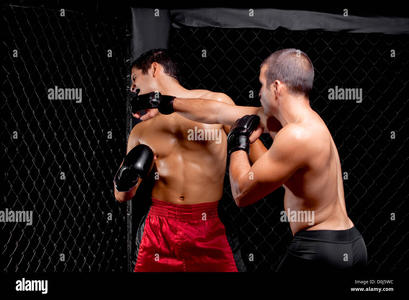 Mixed martial artists fighting punching Stock Photo Alamy
