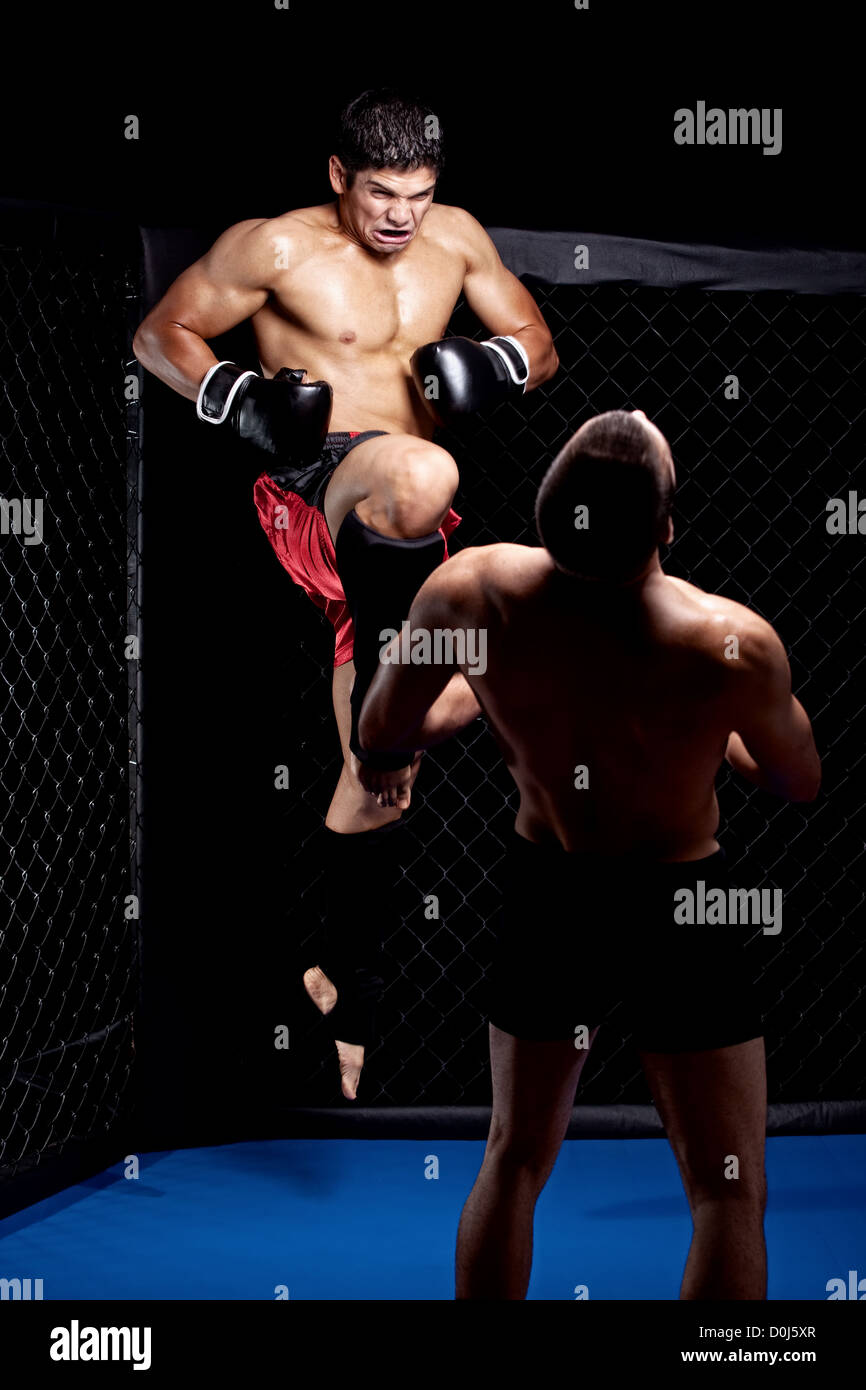 Mixed martial artists fighting knee strike Stock Photo Alamy