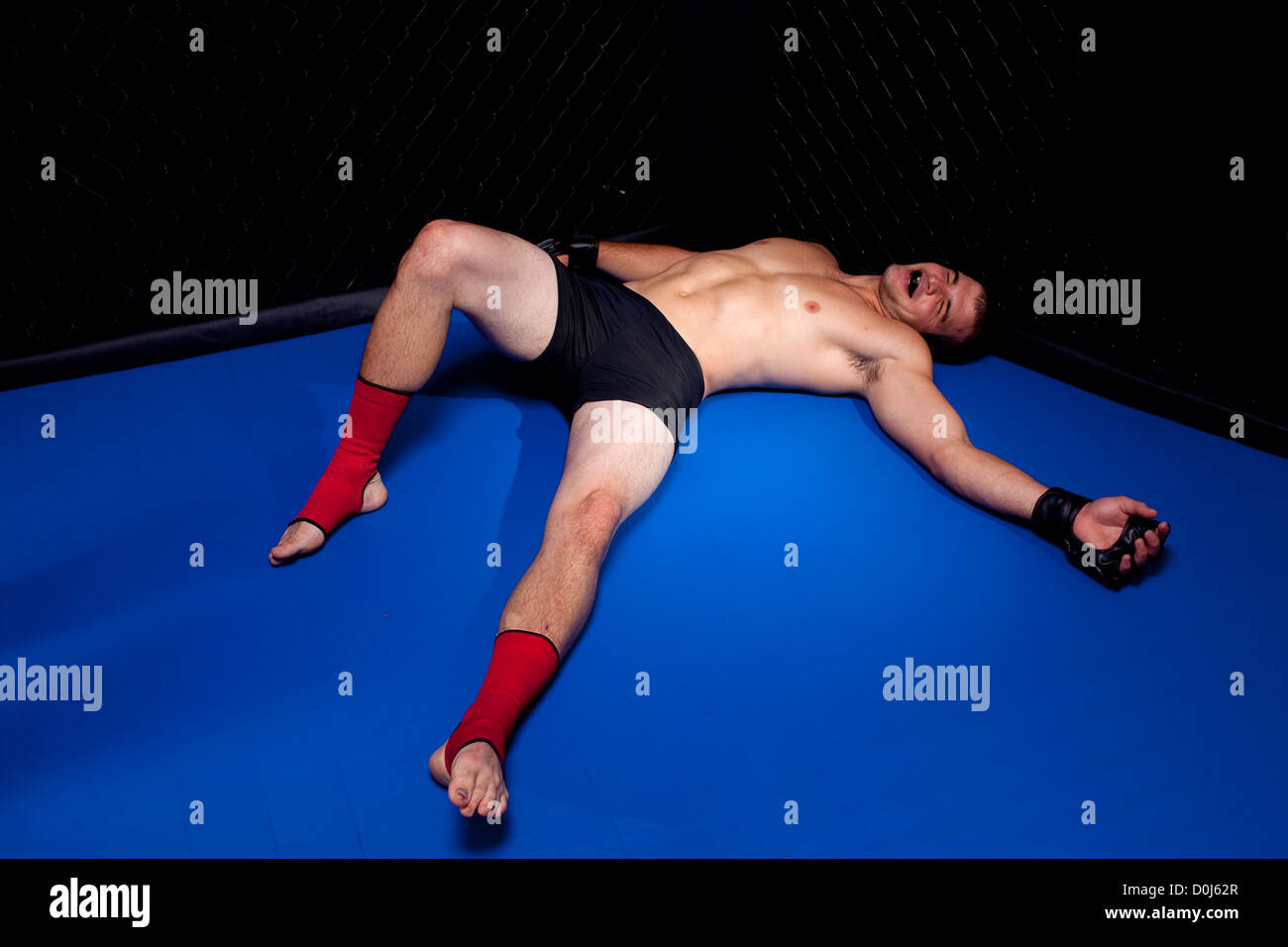 Mixed martial artists fighting knock out Stock Photo Alamy