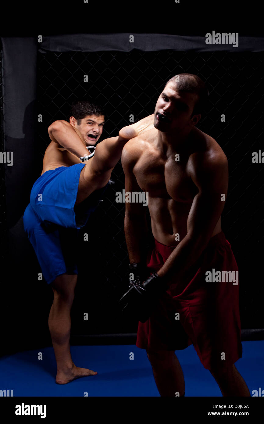 Mixed martial artists fighting Stock Photo Alamy