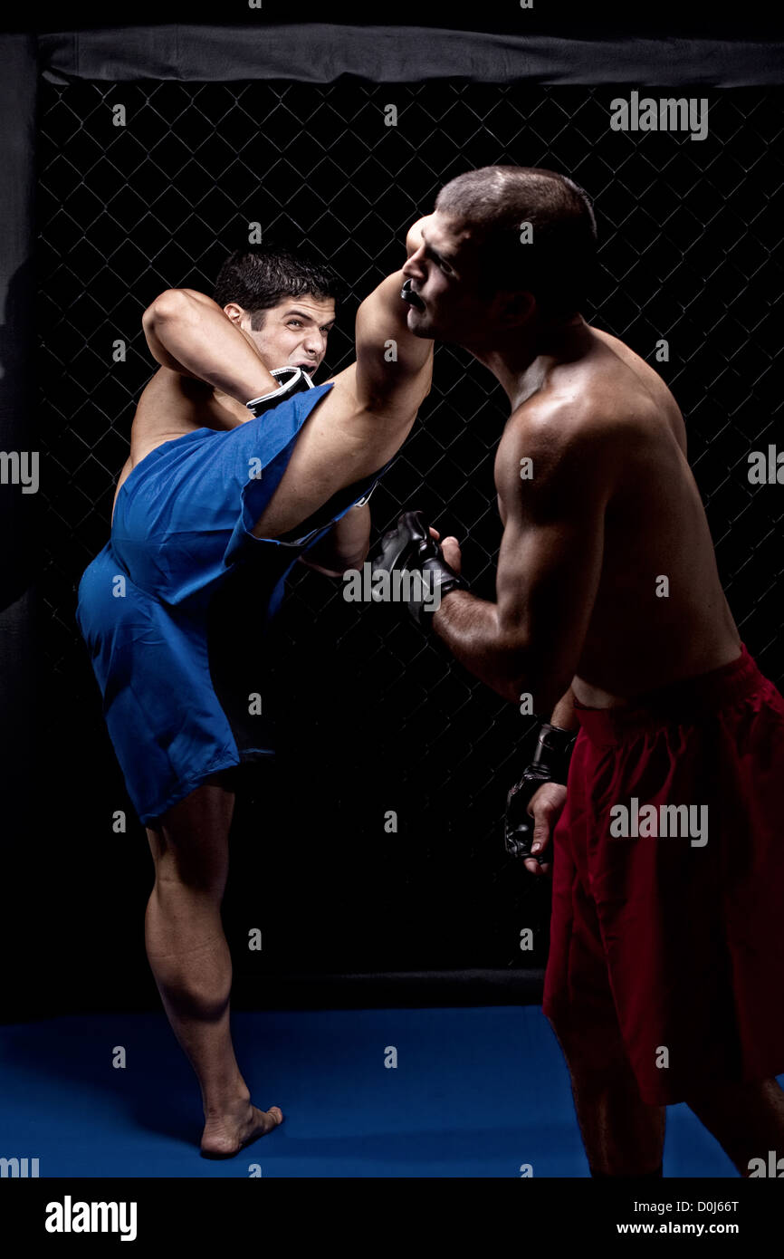 Mixed martial artists fighting Stock Photo Alamy